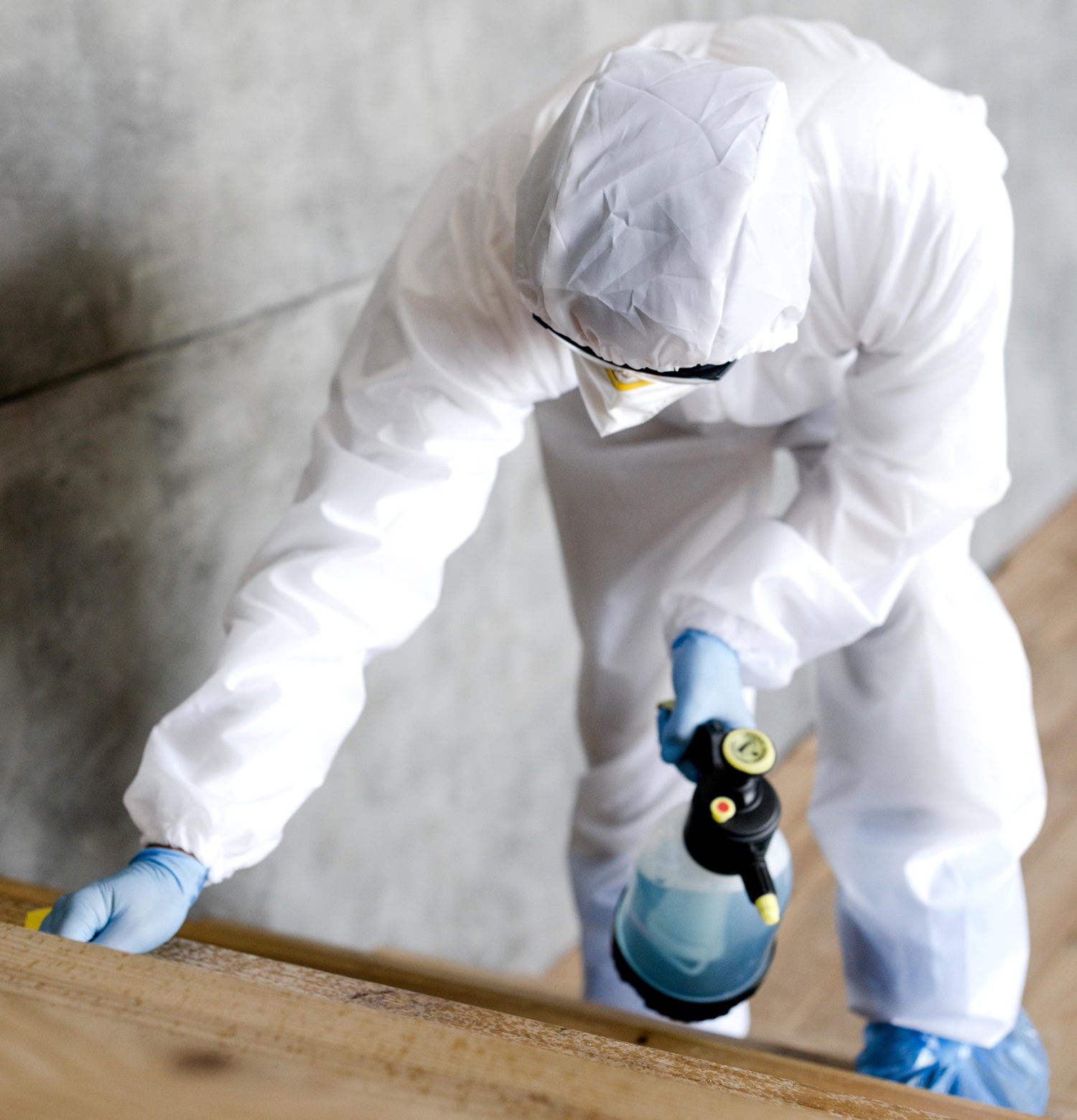 pest_control_image_